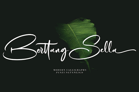 Berttang Sella: A Versatile Script Font for Modern Design
