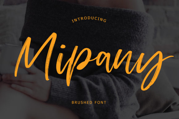 Enhance Your Editorial Design with Mipany Font