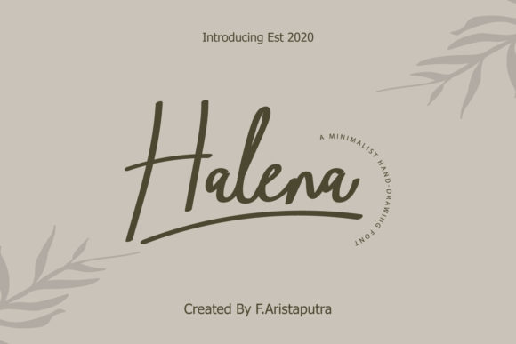 Halena: A Handwritten Font for Polished Web Design