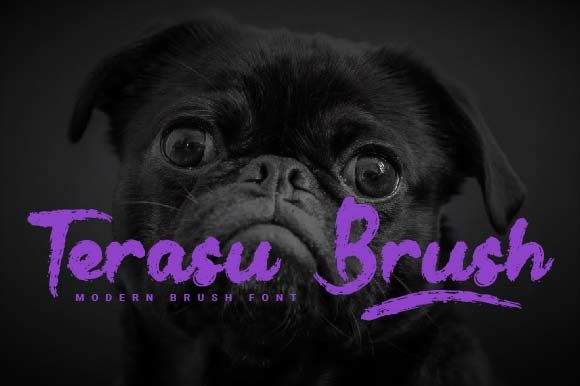 Terasu Brush: A Versatile Handwritten Font for Creative Campaigns