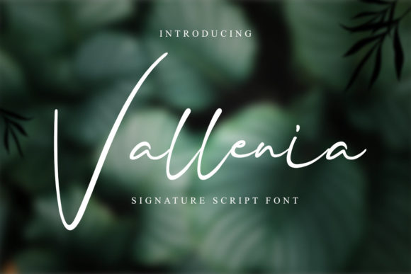 Transform Your Brand with Vallenia: A Premium Handwritten Font